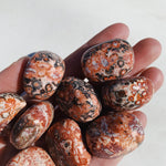 Leopard Jasper Tumble - Strength/Harmony tumbled cleanse & co.