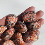 Leopard Jasper Tumble - Strength/Harmony tumbled cleanse & co.