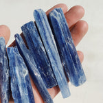Raw Blue Kyanite - Intuitively Chosen raw Small cleanse & co.
