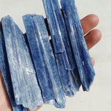 Raw Blue Kyanite - Intuitively Chosen raw Large cleanse & co.