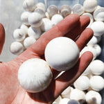 Scolecite Sphere - Intuitively Chosen sphere cleanse & co.