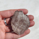 Alligator Quartz Cluster 05 new cleanse & co.
