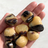 Septarian Nodule Tumble - Nurturing/Grounding