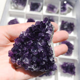 Mini Amethyst Cluster - Intuitively Chosen