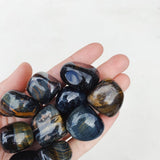 Blue Tigers Eye Tumble - Clarity/Focus