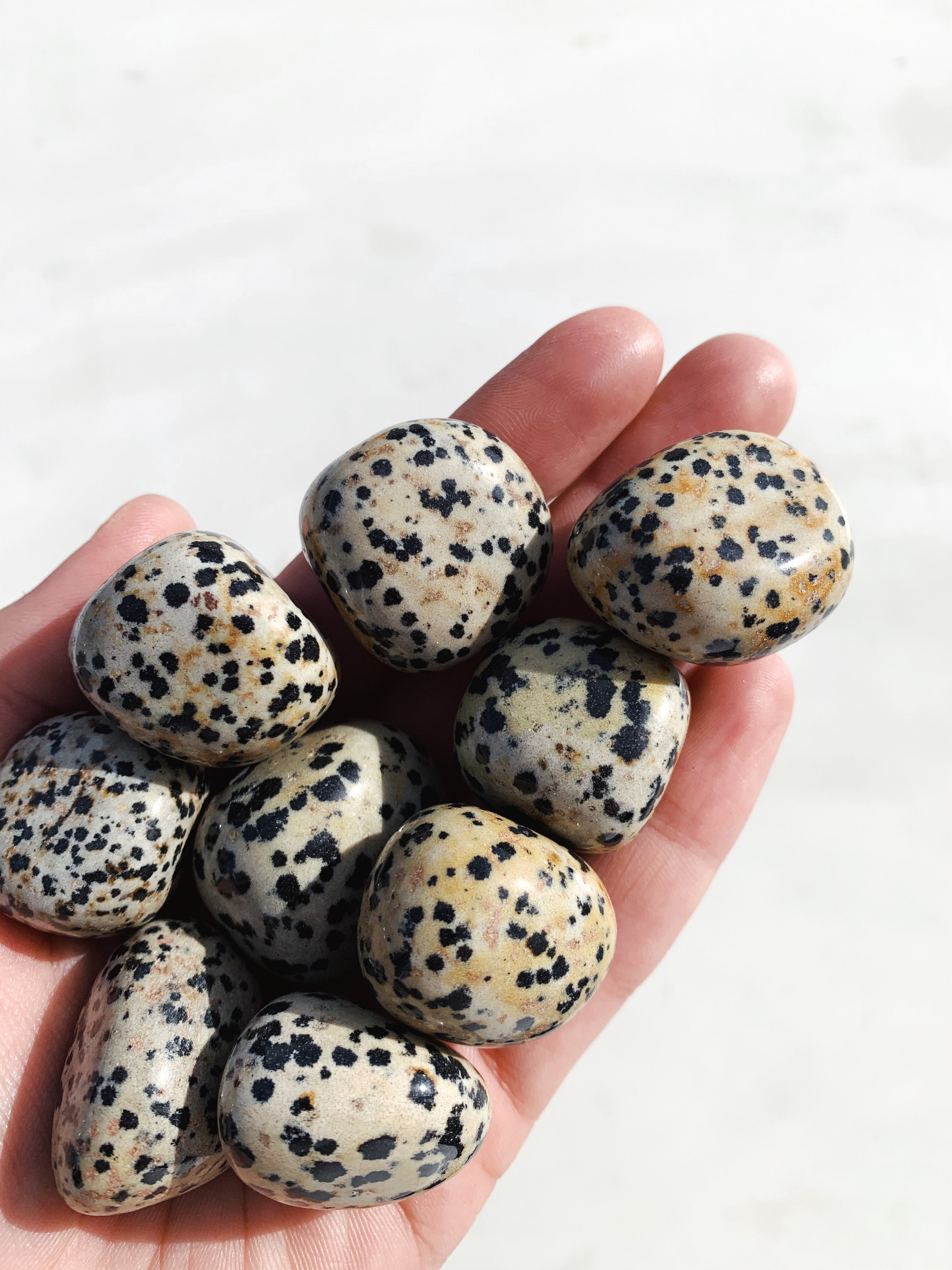 CLEANSE & CO. Dalmation Jasper. Ethically Sourced Tumbled Crystal.