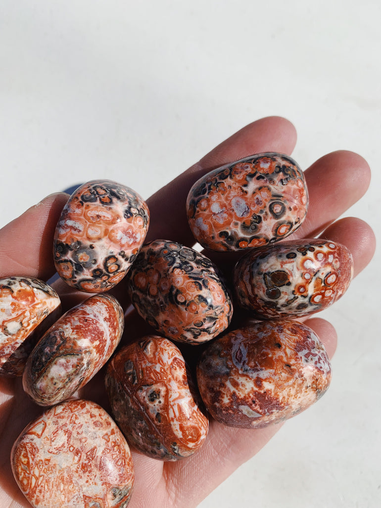 Cleanse & Co. Leopard Jasper. Ethically Sourced Tumbled Crystal.