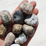 Ocean Jasper Tumble - Ground/Relax
