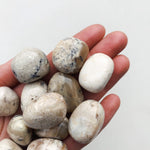 CLEANSE & CO. Opal Ivory. Ethically Sourced Tumbled Crystal.