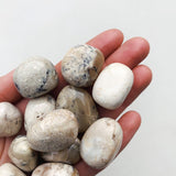 CLEANSE & CO. Opal Ivory. Ethically Sourced Tumbled Crystal.