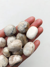 CLEANSE & CO. Opal Ivory. Ethically Sourced Tumbled Crystal.