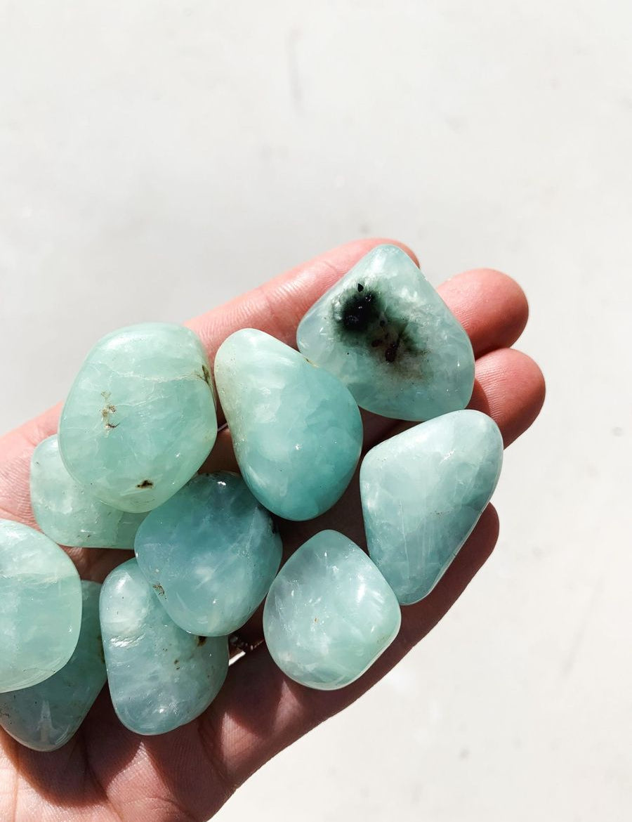 CLEANSE & CO. Prehnite. Ethically Sourced Tumbled Crystal.