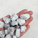 CLEANSE & CO. Rainbow Moonstone. Ethically Sourced Tumbled Crystal.