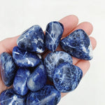 CLEANSE & CO. Sodalite. Ethically Sourced Tumbled Crystal.