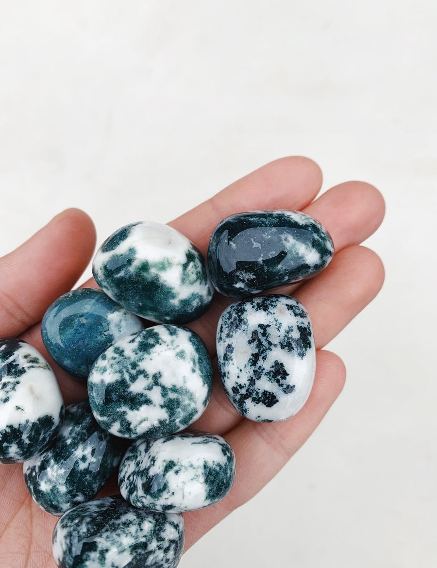 CLEANSE & CO. Tree Agate. Ethically Sourced Tumbled Crystal.