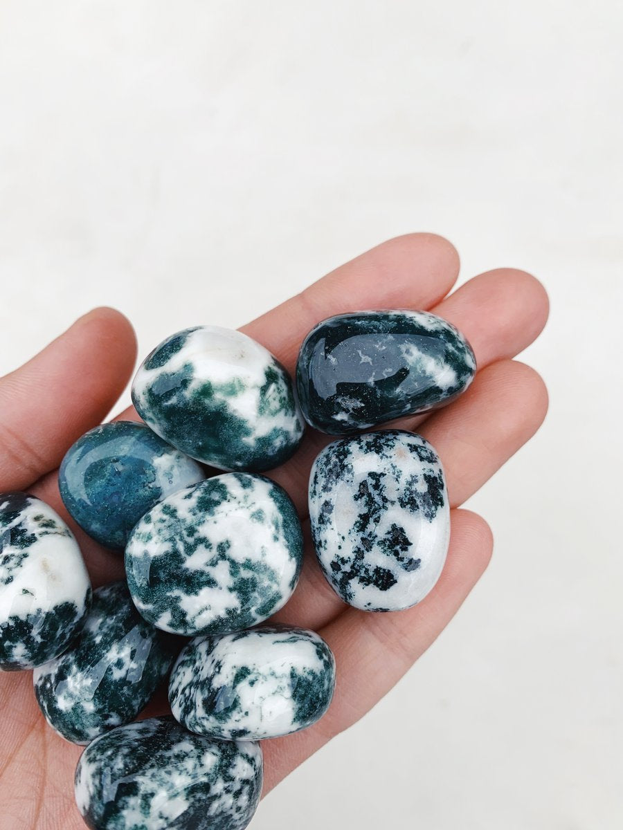 CLEANSE & CO. Tree Agate. Ethically Sourced Tumbled Crystal.