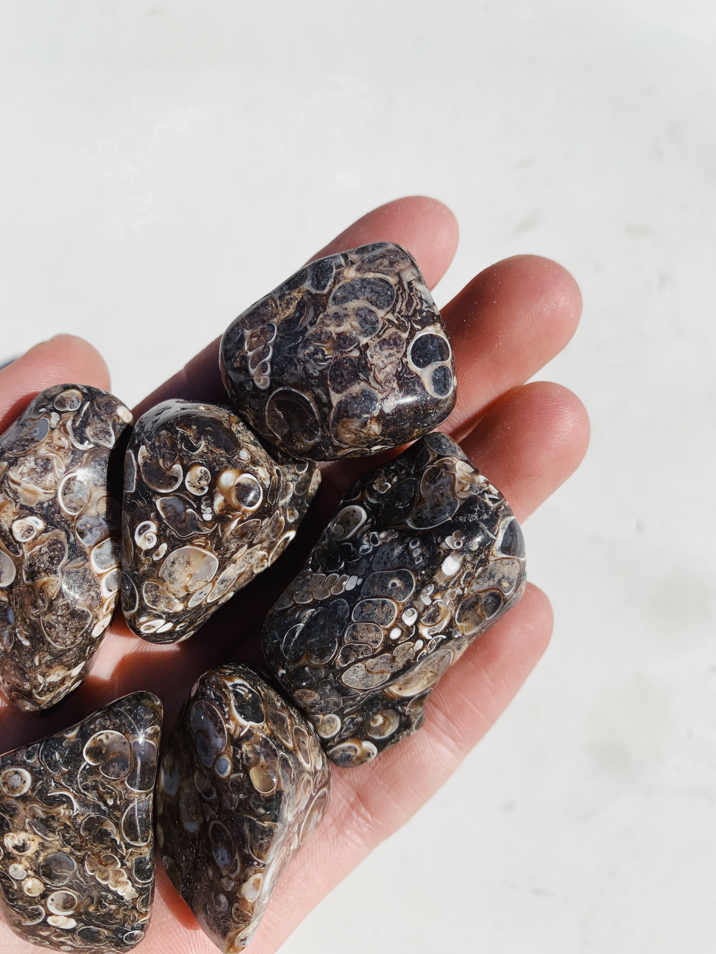 Cleanse & Co. Turritella Agate Tumble. Ethically Sourced Tumbled Crystals.