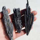 Black Kyanite Cluster - Intuitively Chosen cluster cleanse & co.