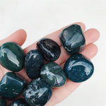 Bloodstone Tumble -  Creativity/Protection tumbled cleanse & co.