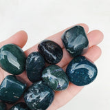 Bloodstone Tumble -  Creativity/Protection tumbled cleanse & co.
