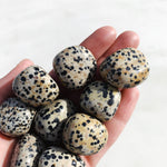 Dalmatian Jasper Tumble - Nurture/Support tumbled cleanse & co.