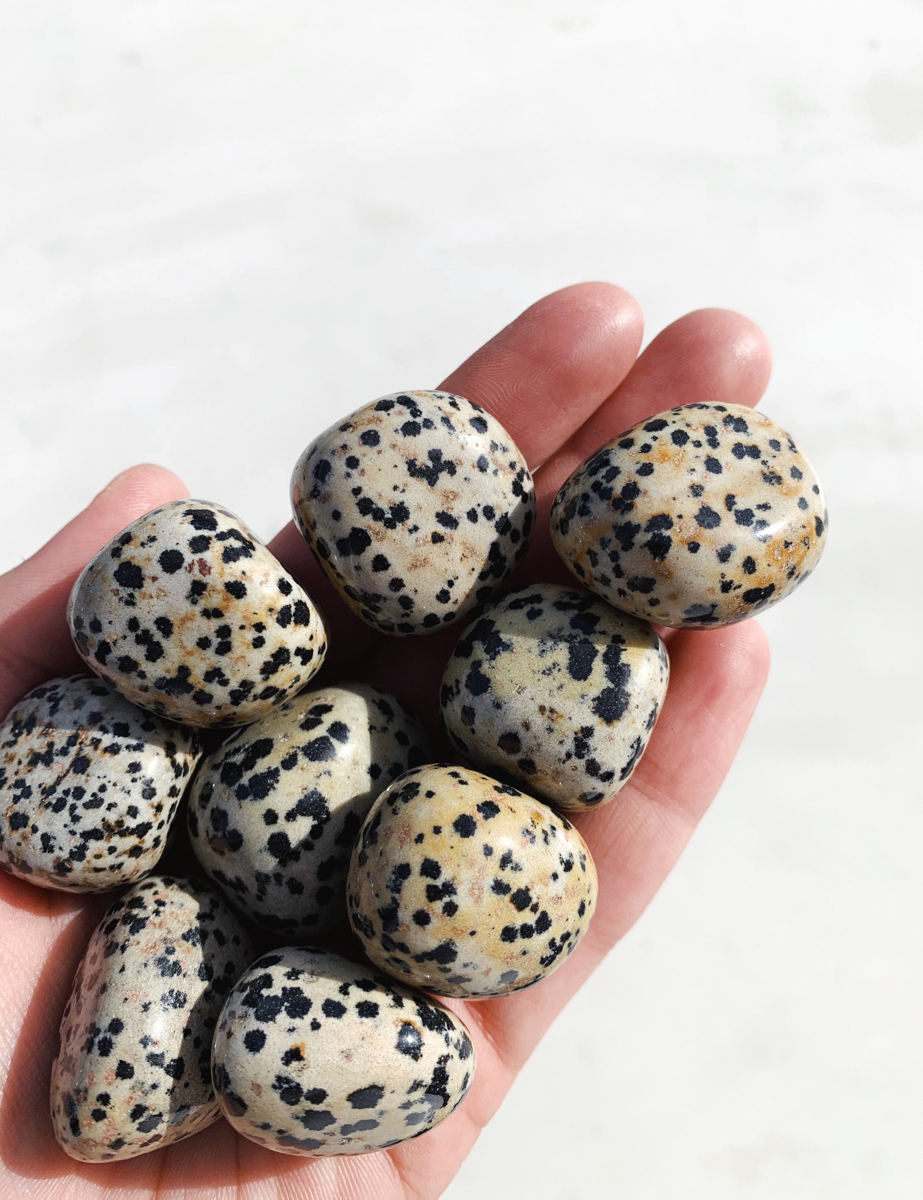 Dalmatian Jasper Tumble - Nurture/Support tumbled cleanse & co.