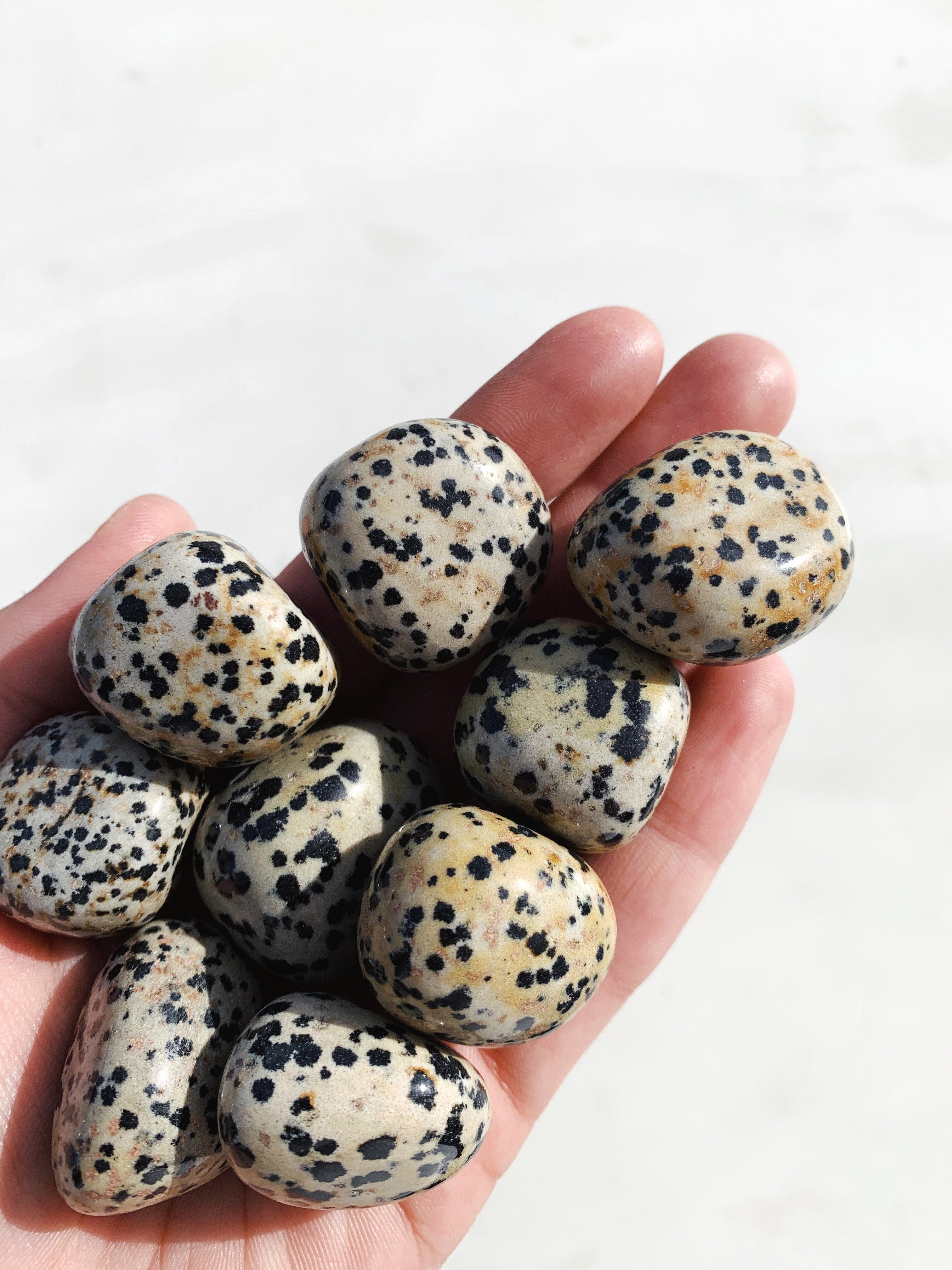 Dalmatian Jasper Tumble - Nurture/Support tumbled cleanse & co.