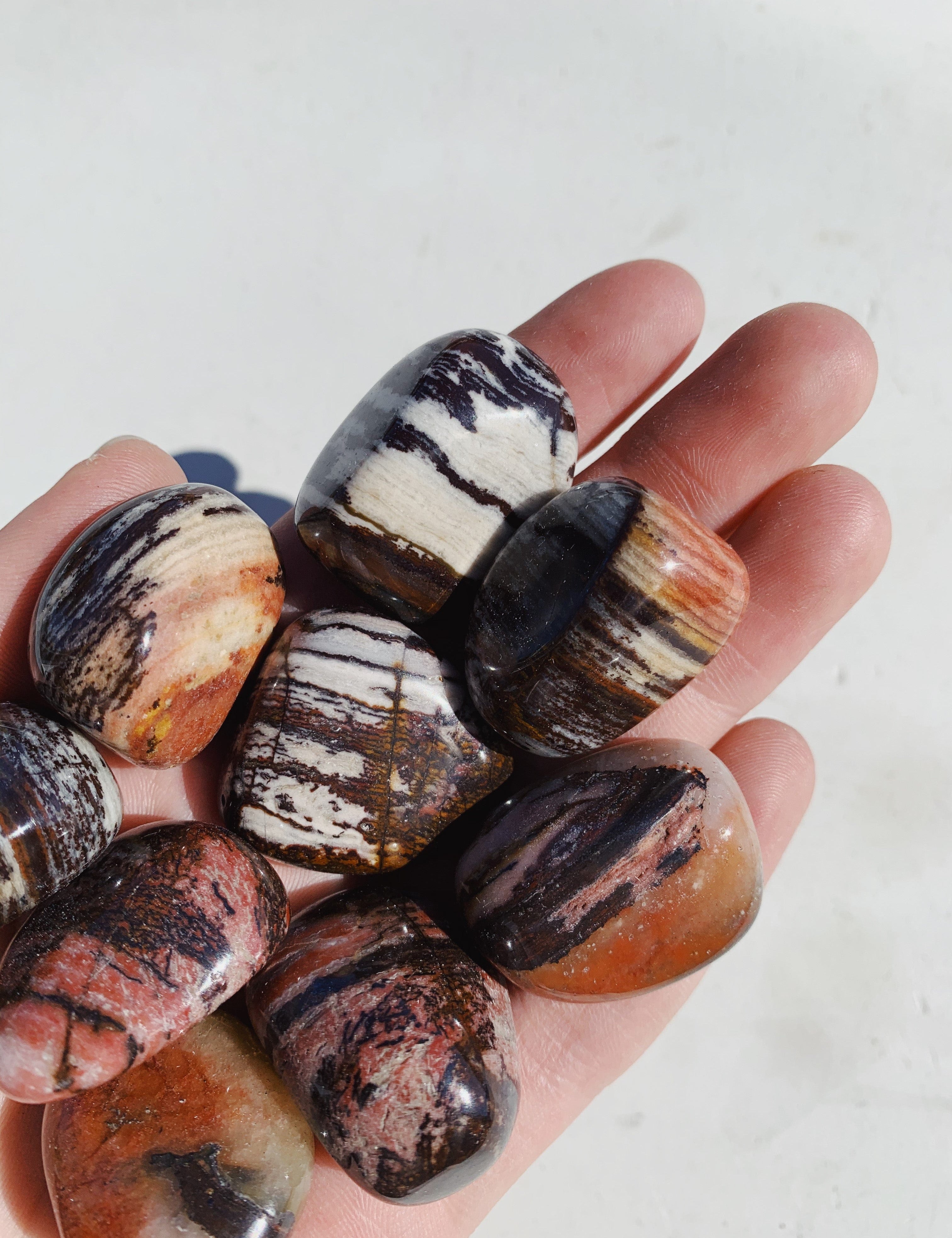Nguni Jasper Tumble - Protect/Calm tumbled cleanse & co.