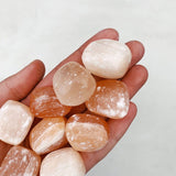 Peach Selenite Tumble - Forgiveness/Acceptance tumbled cleanse & co.