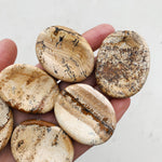 Picasso Jasper Worry Stone worry stone cleanse & co.