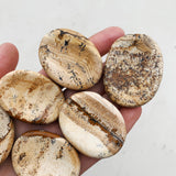 Picasso Jasper Worry Stone worry stone cleanse & co.