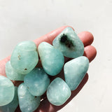 Prehnite Tumble - Love/Connection tumbled cleanse & co.