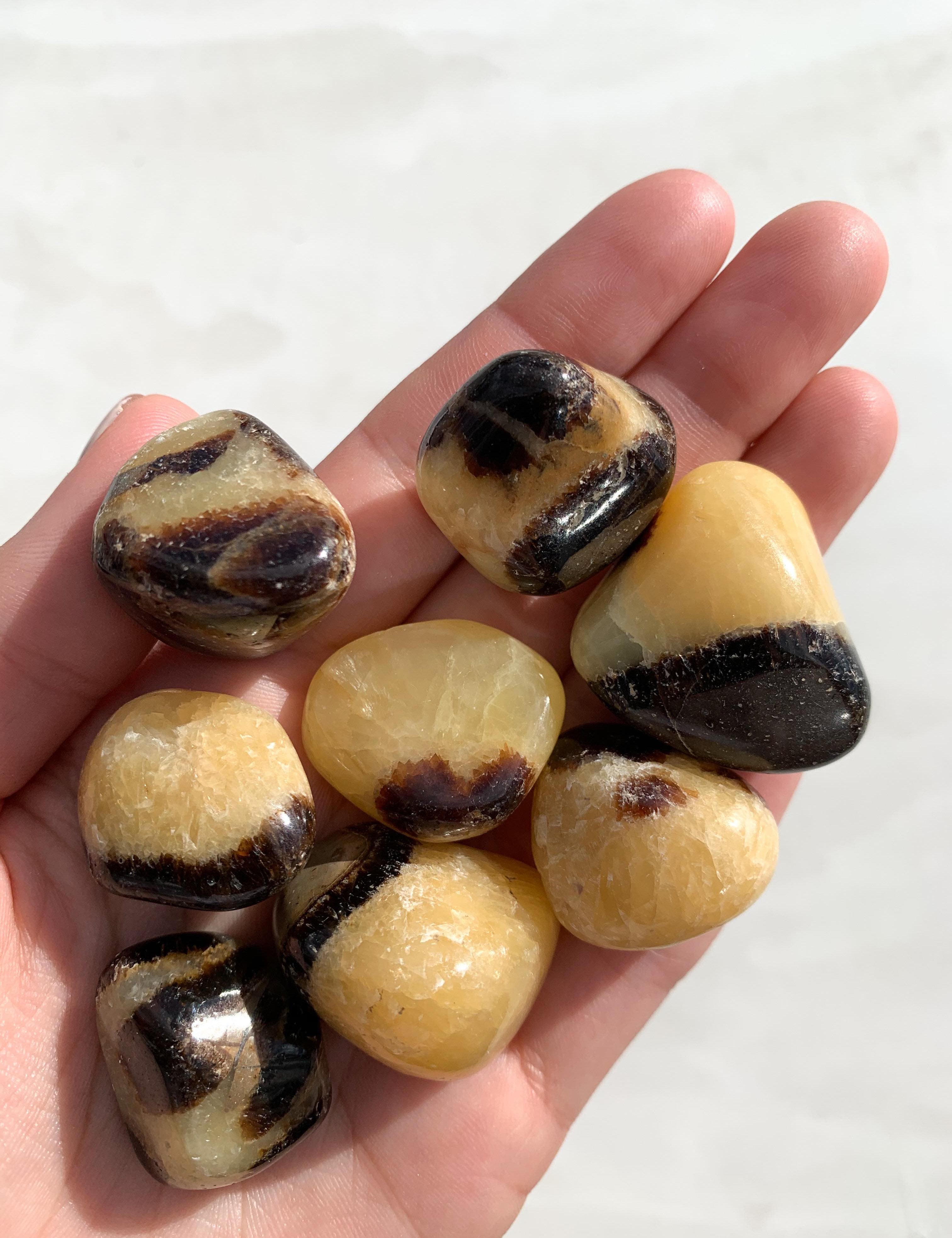 Septarian Nodule Tumble - Nurturing/Grounding tumbled cleanse & co.
