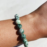 Tree Agate Tumble Bracelet cleanse & co.