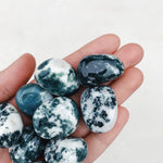 Tree Agate Tumble - Calm/Growth tumbled cleanse & co.